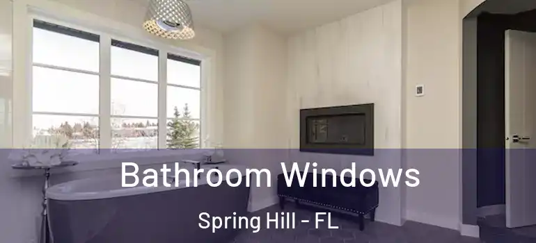  Bathroom Windows Spring Hill - FL