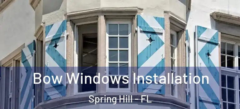  Bow Windows Installation Spring Hill - FL