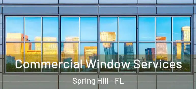  Commercial Window Services Spring Hill - FL