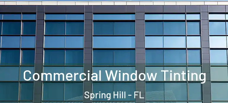 Commercial Window Tinting Spring Hill - FL