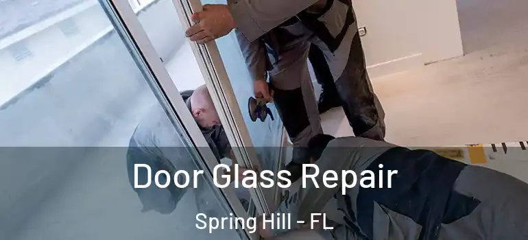  Door Glass Repair Spring Hill - FL