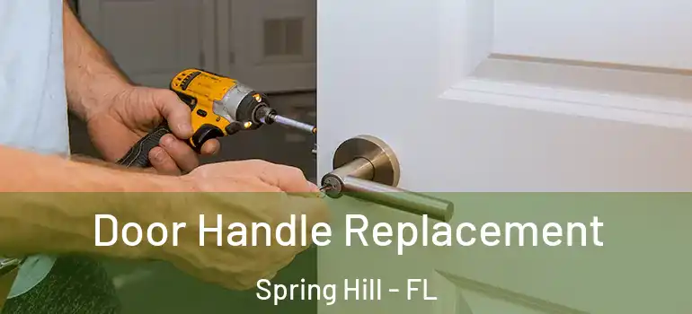  Door Handle Replacement Spring Hill - FL
