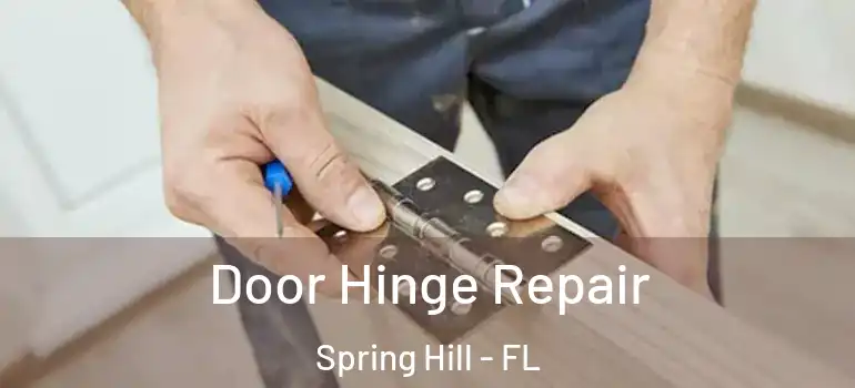  Door Hinge Repair Spring Hill - FL