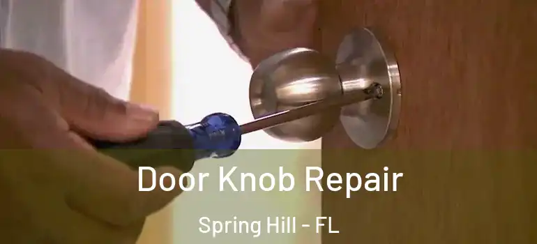  Door Knob Repair Spring Hill - FL