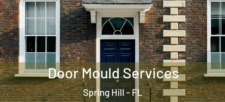  Door Mould Services Spring Hill - FL