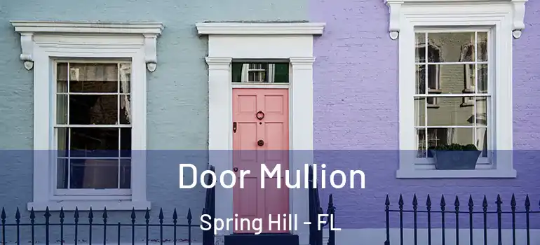  Door Mullion Spring Hill - FL