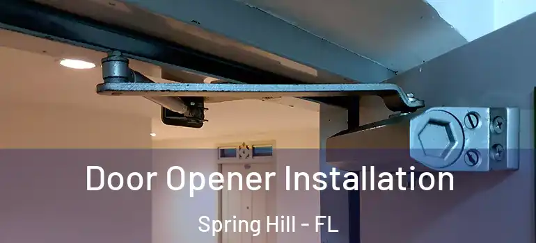  Door Opener Installation Spring Hill - FL