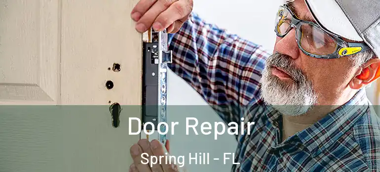 Door Repair Spring Hill - FL