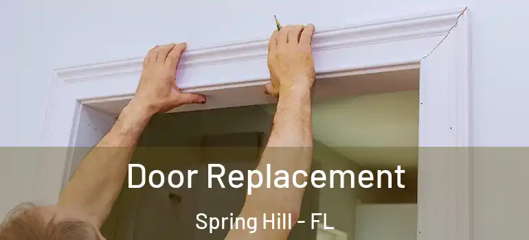  Door Replacement Spring Hill - FL