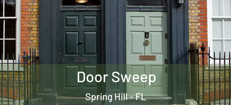  Door Sweep Spring Hill - FL
