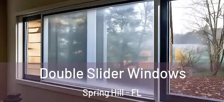  Double Slider Windows Spring Hill - FL
