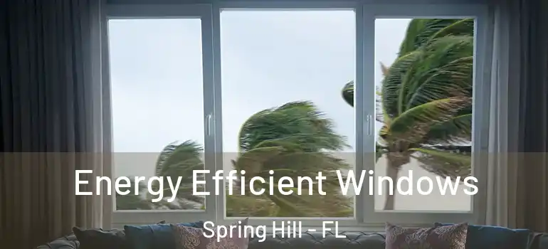  Energy Efficient Windows Spring Hill - FL