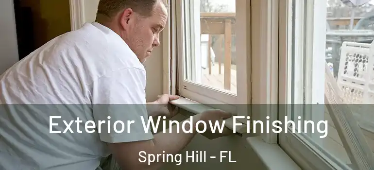  Exterior Window Finishing Spring Hill - FL