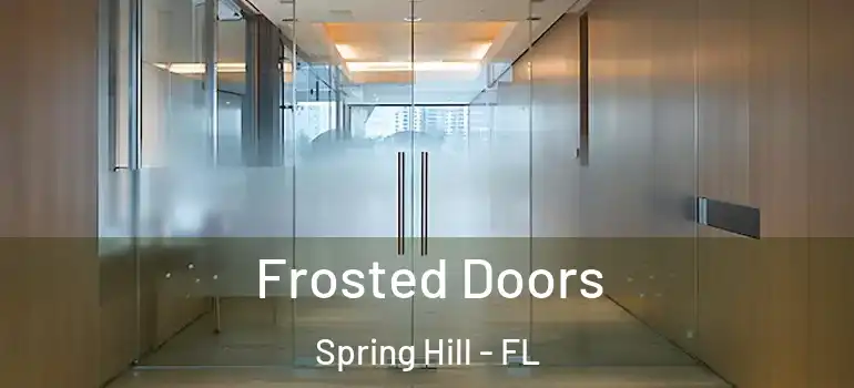  Frosted Doors Spring Hill - FL