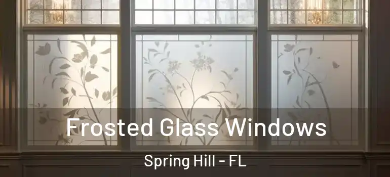  Frosted Glass Windows Spring Hill - FL