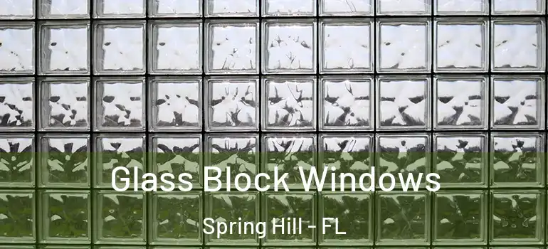  Glass Block Windows Spring Hill - FL
