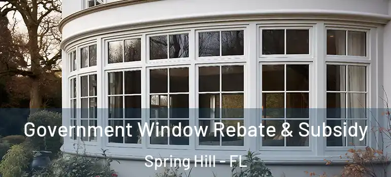  Government Window Rebate & Subsidy Spring Hill - FL