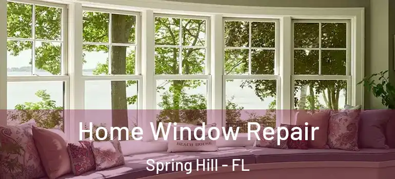  Home Window Repair Spring Hill - FL