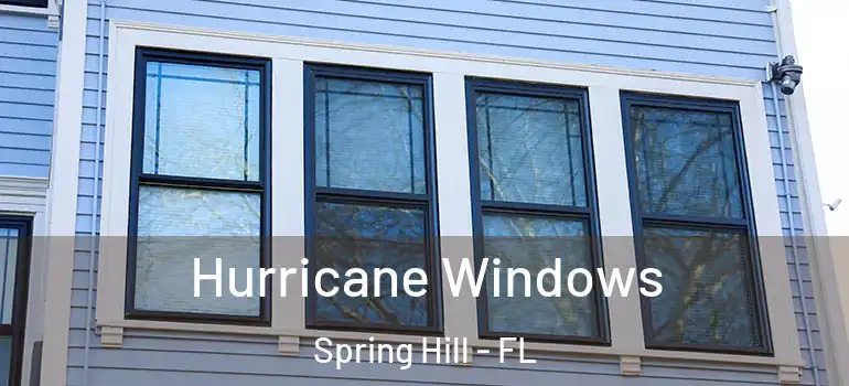  Hurricane Windows Spring Hill - FL