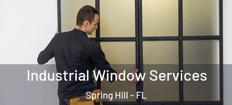  Industrial Window Services Spring Hill - FL