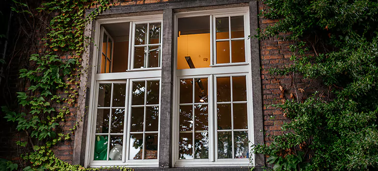 Energy Efficient Wood Windows in Spring Hill, FL