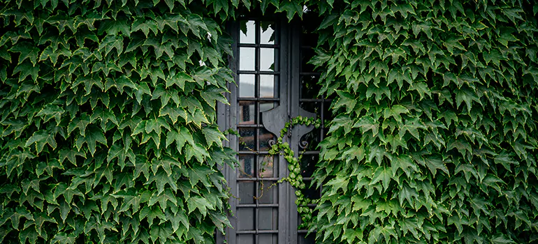 Garden Gate Repair in Spring Hill, FL