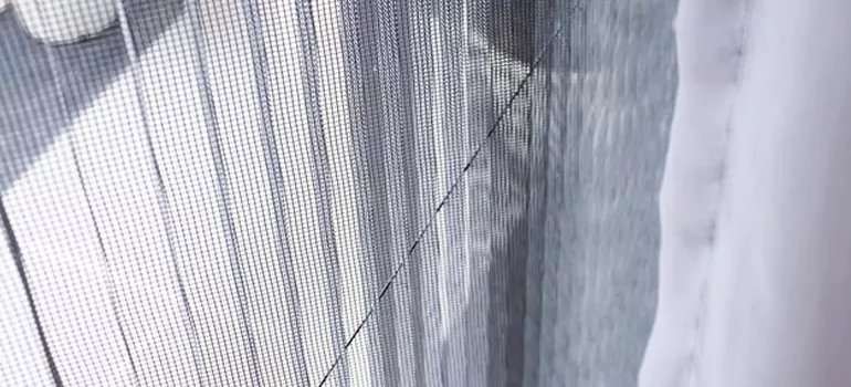 Fixing Screen Window Mesh in Spring Hill, FL