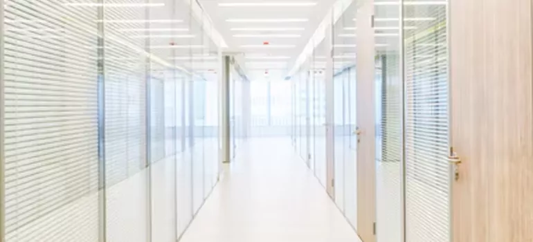 Frosted Glass Windows Replacement in Spring Hill, FL