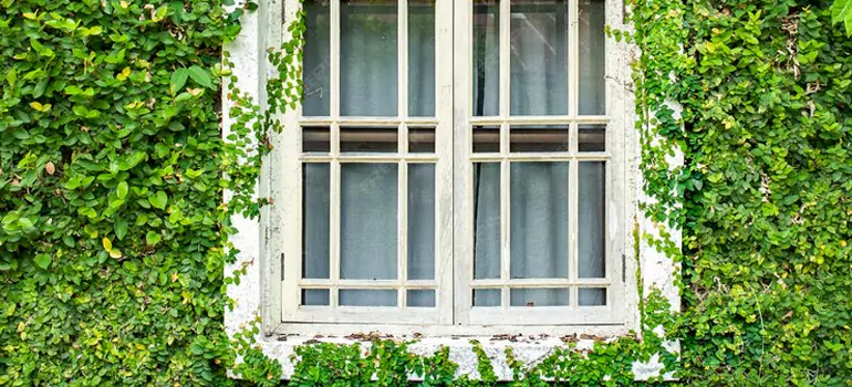 Garden Window Repair Near Me in Spring Hill, FL