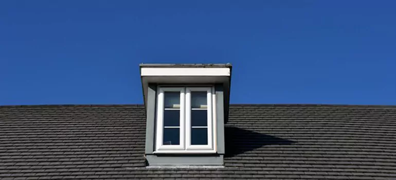 Roof Window Installation in Spring Hill, FL