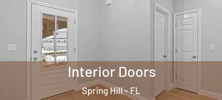  Interior Doors Spring Hill - FL