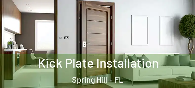  Kick Plate Installation Spring Hill - FL
