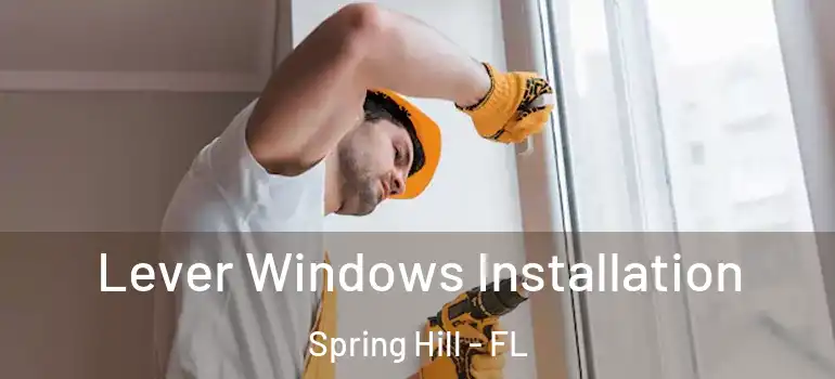  Lever Windows Installation Spring Hill - FL