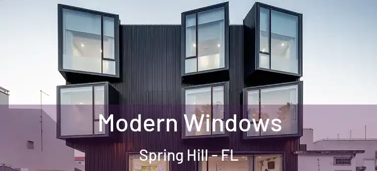  Modern Windows Spring Hill - FL