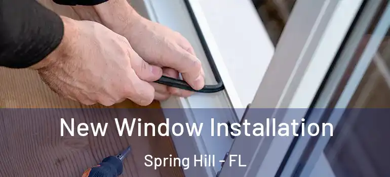 New Window Installation Spring Hill - FL