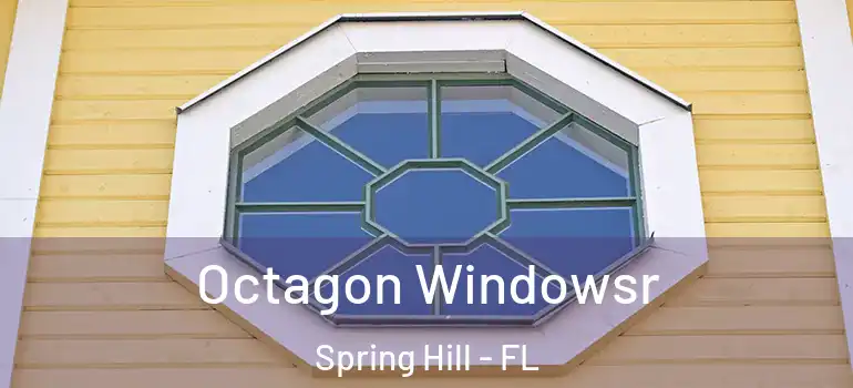  Octagon Windowsr Spring Hill - FL