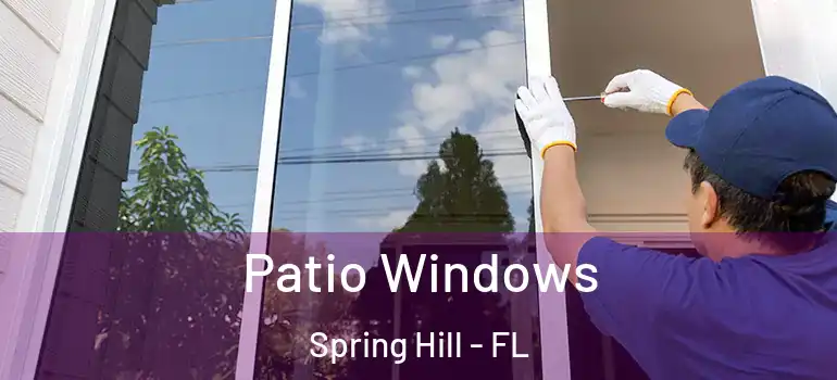 Patio Windows Spring Hill - FL