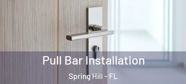  Pull Bar Installation Spring Hill - FL