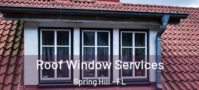 Roof Window Services Spring Hill - FL