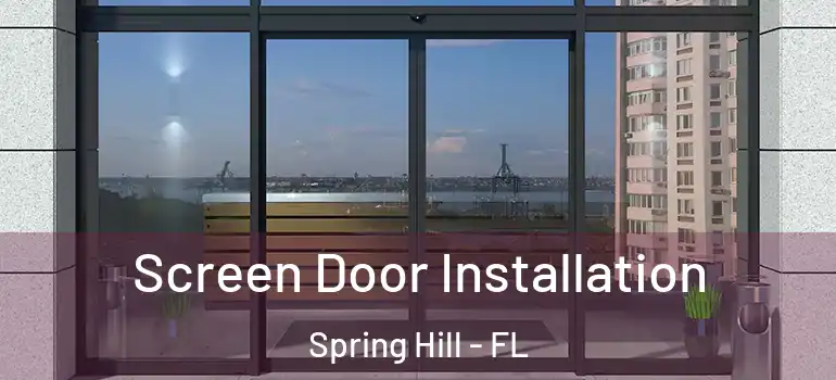  Screen Door Installation Spring Hill - FL
