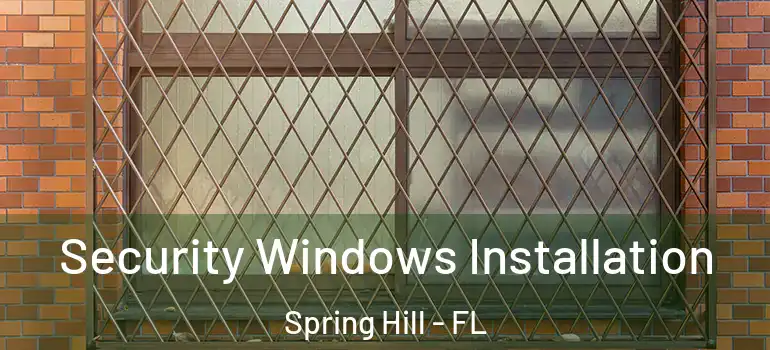  Security Windows Installation Spring Hill - FL