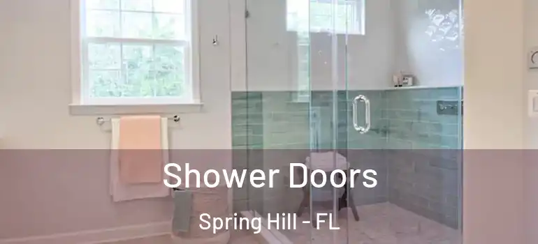  Shower Doors Spring Hill - FL
