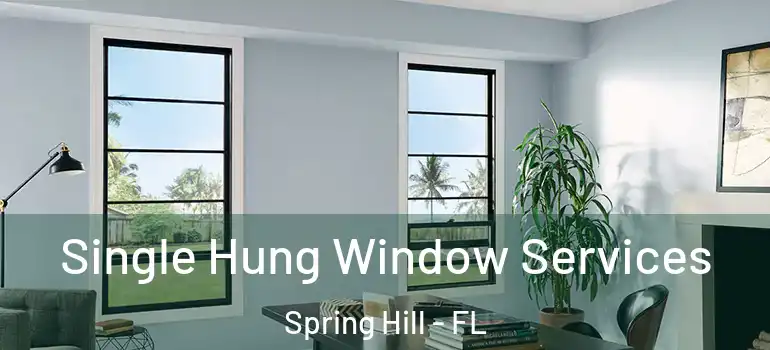  Single Hung Window Services Spring Hill - FL