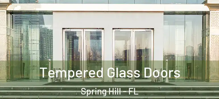  Tempered Glass Doors Spring Hill - FL