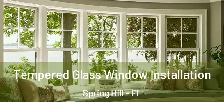  Tempered Glass Window Installation Spring Hill - FL