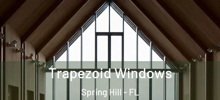  Trapezoid Windows Spring Hill - FL