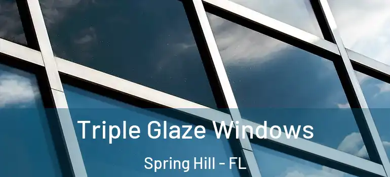  Triple Glaze Windows Spring Hill - FL