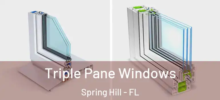  Triple Pane Windows Spring Hill - FL