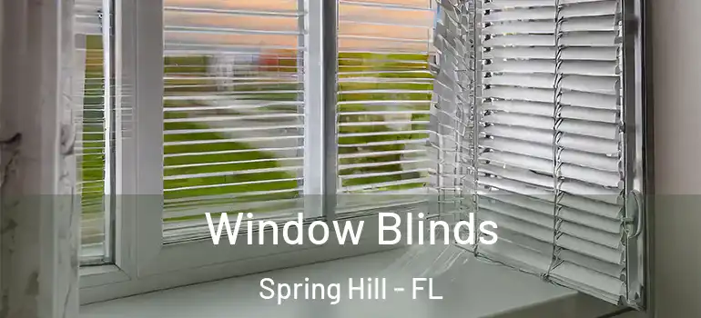 Window Blinds Spring Hill - FL