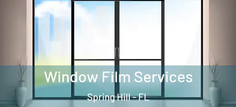  Window Film Services Spring Hill - FL